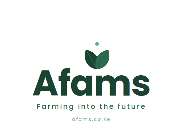 Afams Limited