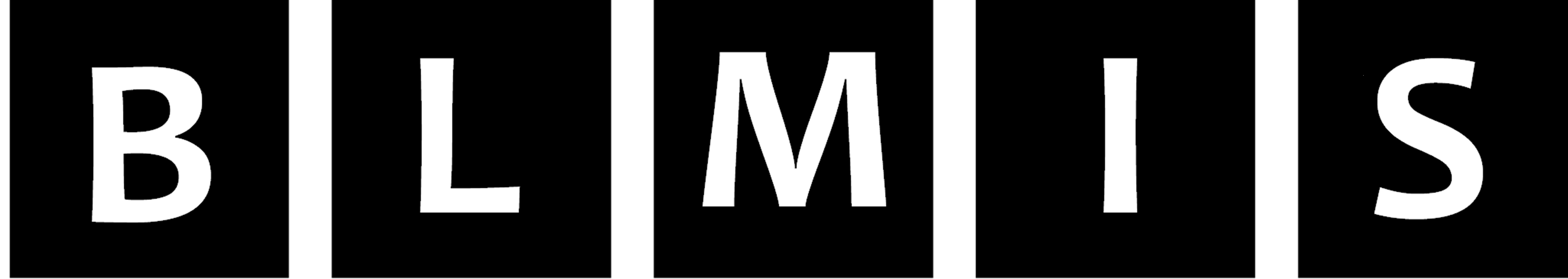 BL Media & ICT Services