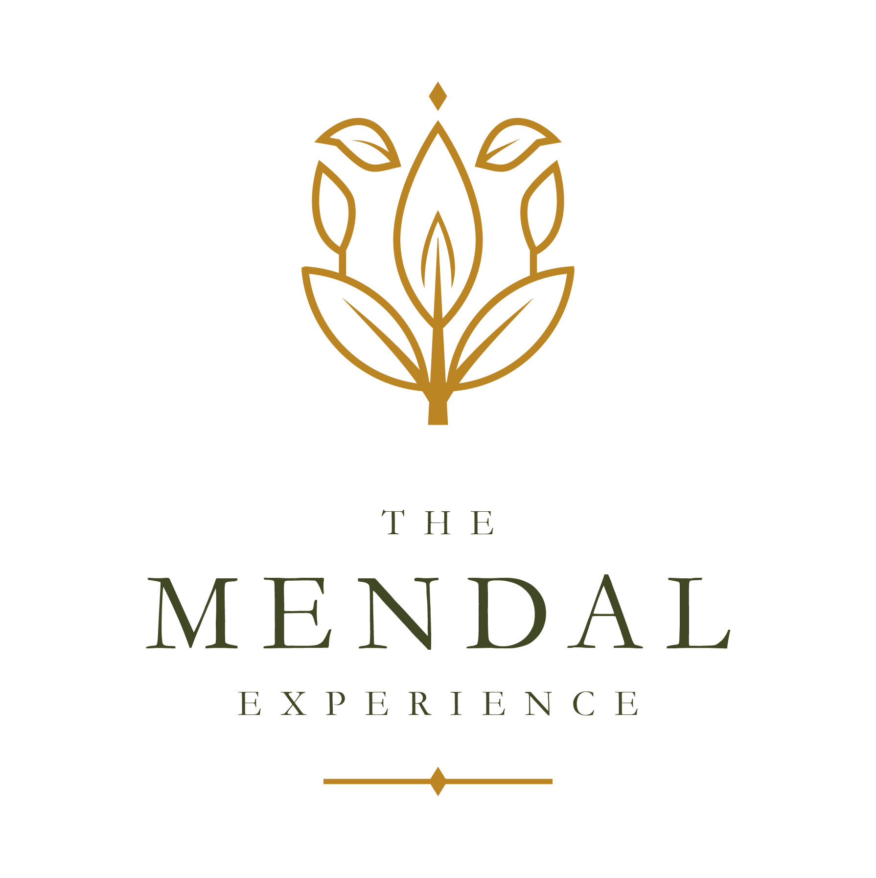The Mendal experience