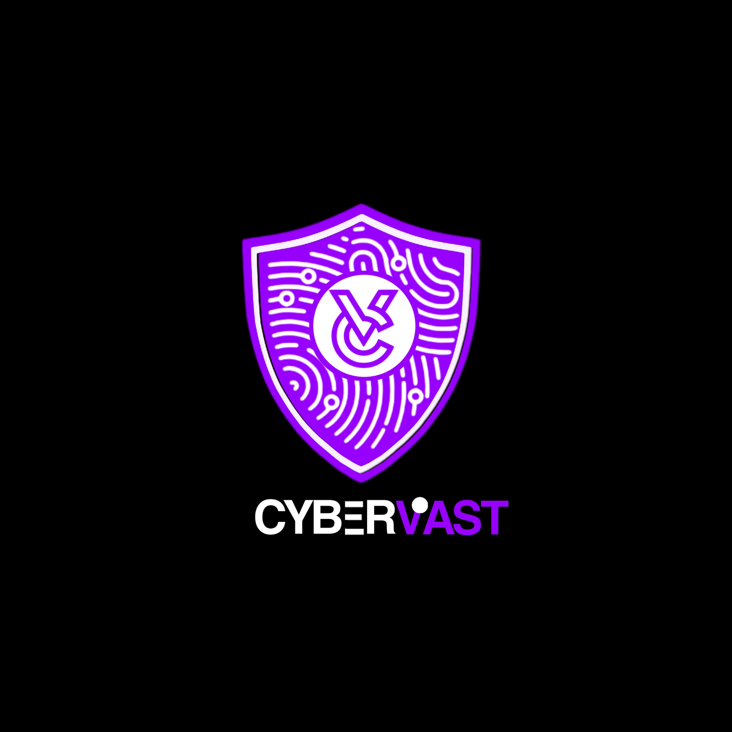 Cybervast Ltd