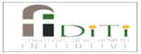 Fiditi Strategic Development Initiative