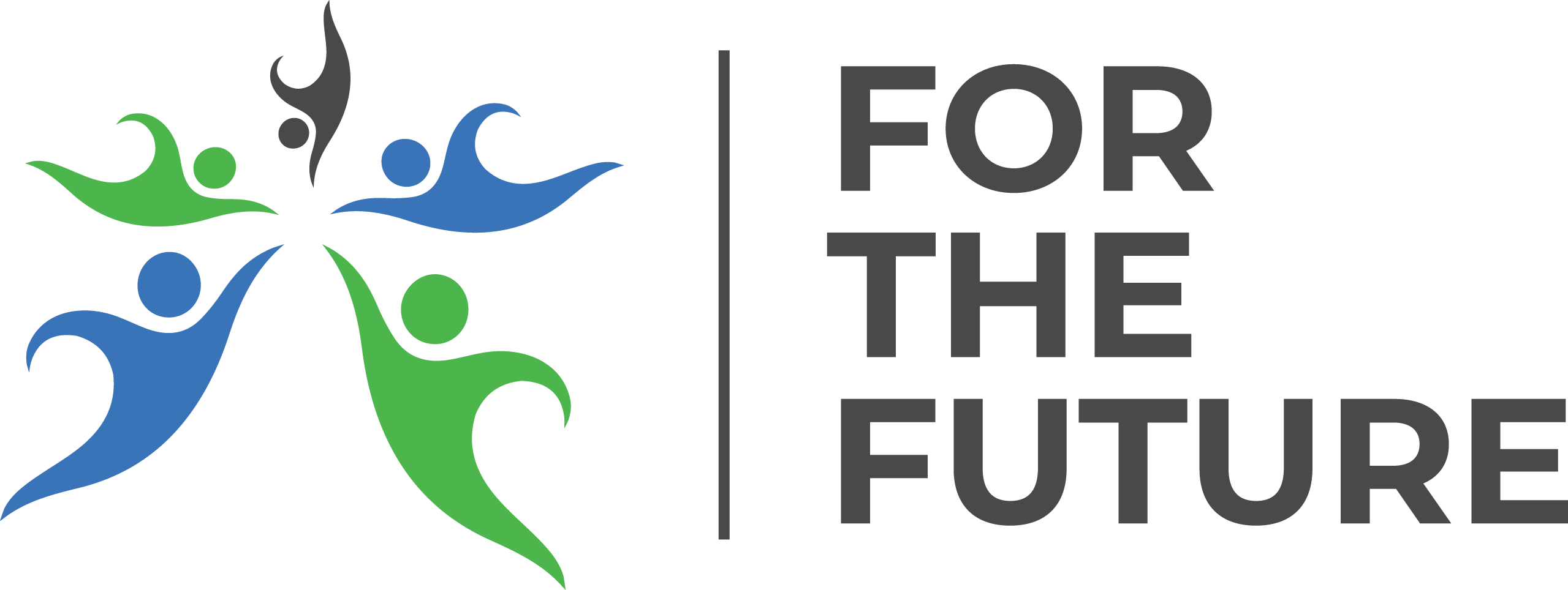 For The Future Ghana