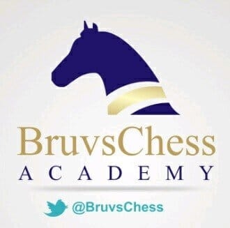 BruvsChess Educational Services