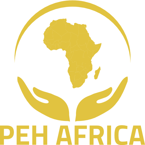 The Spiritual Council in Africa NPC