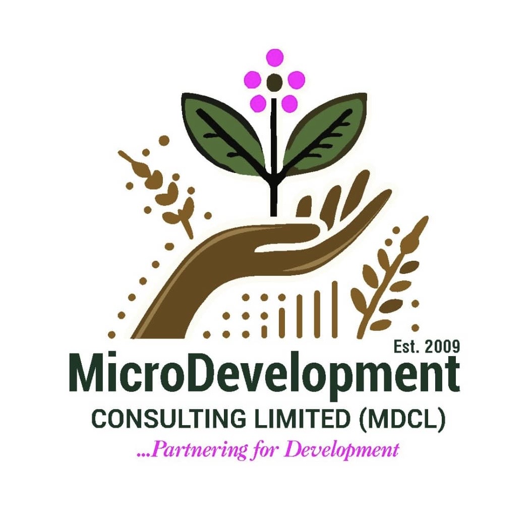 MicroDevelopment Consulting Limited