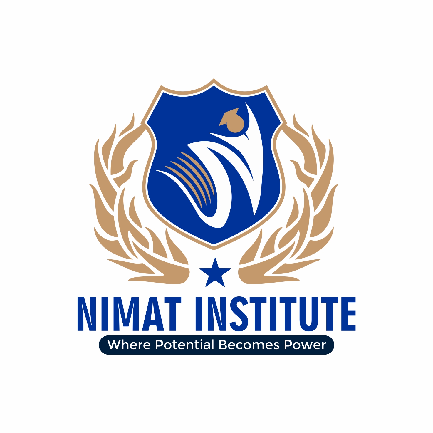 Nimat Academy