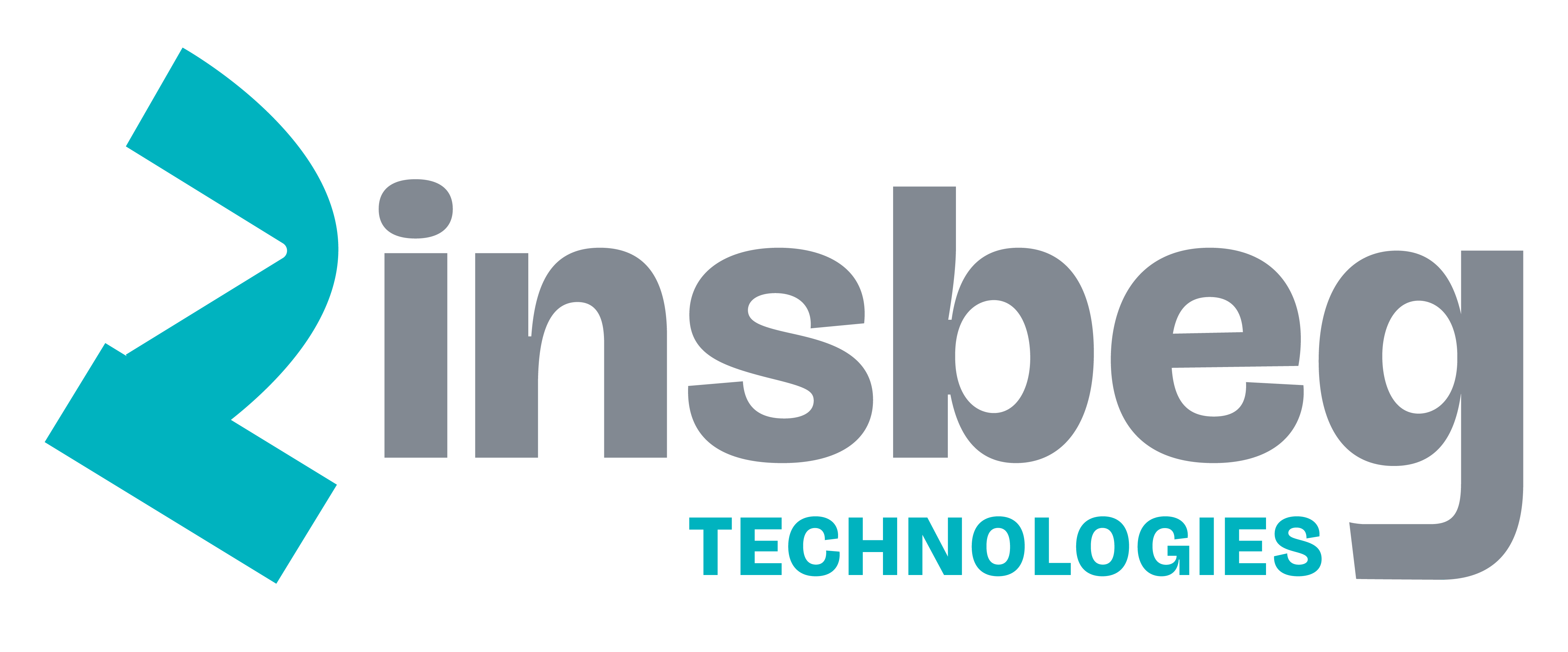 RINSBEG TECHNOLOGIES