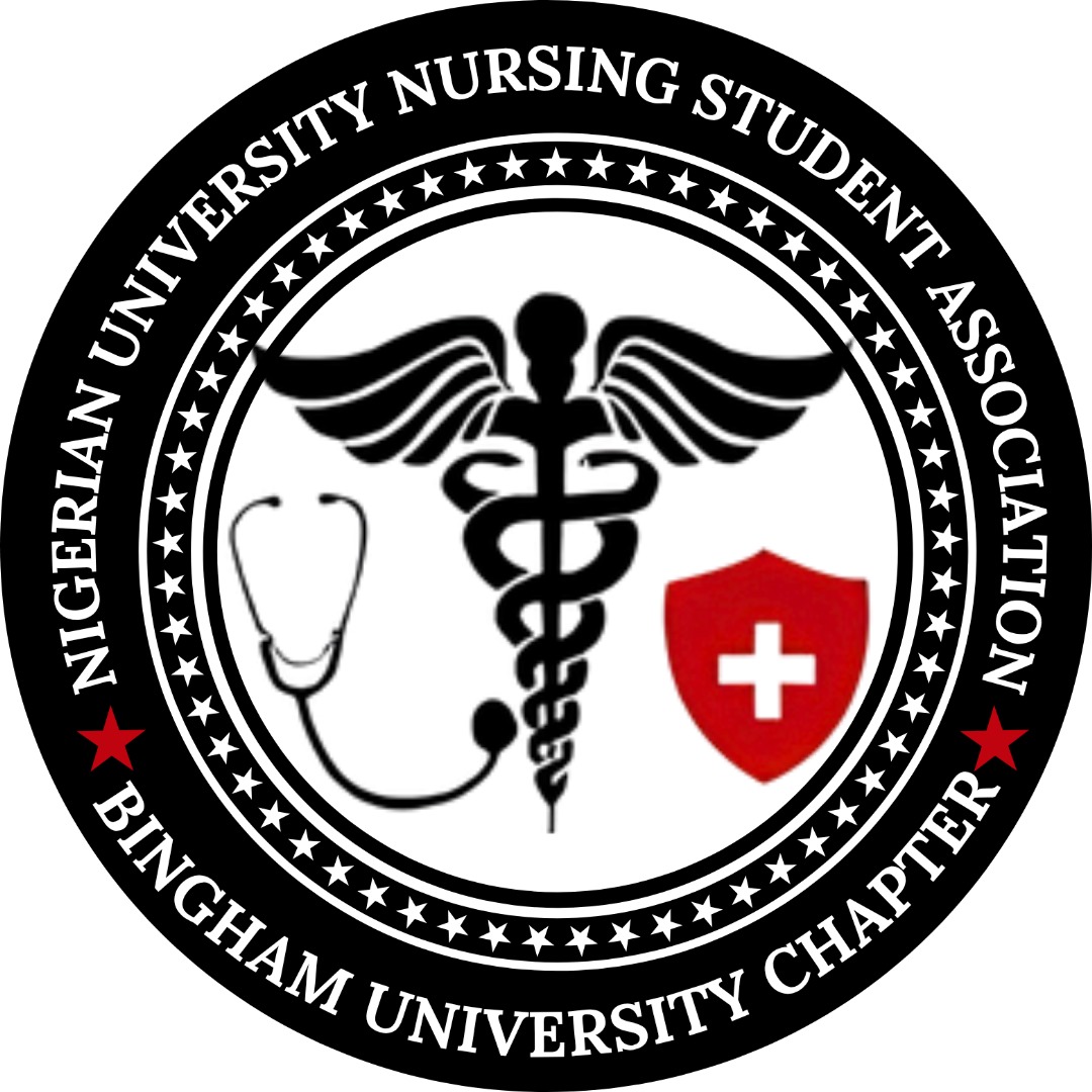 NUNSA BINGHAM UNIVERSITY