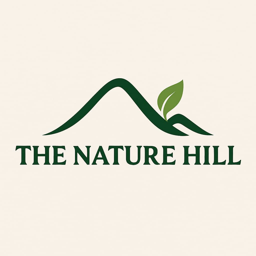 The Nature Hill