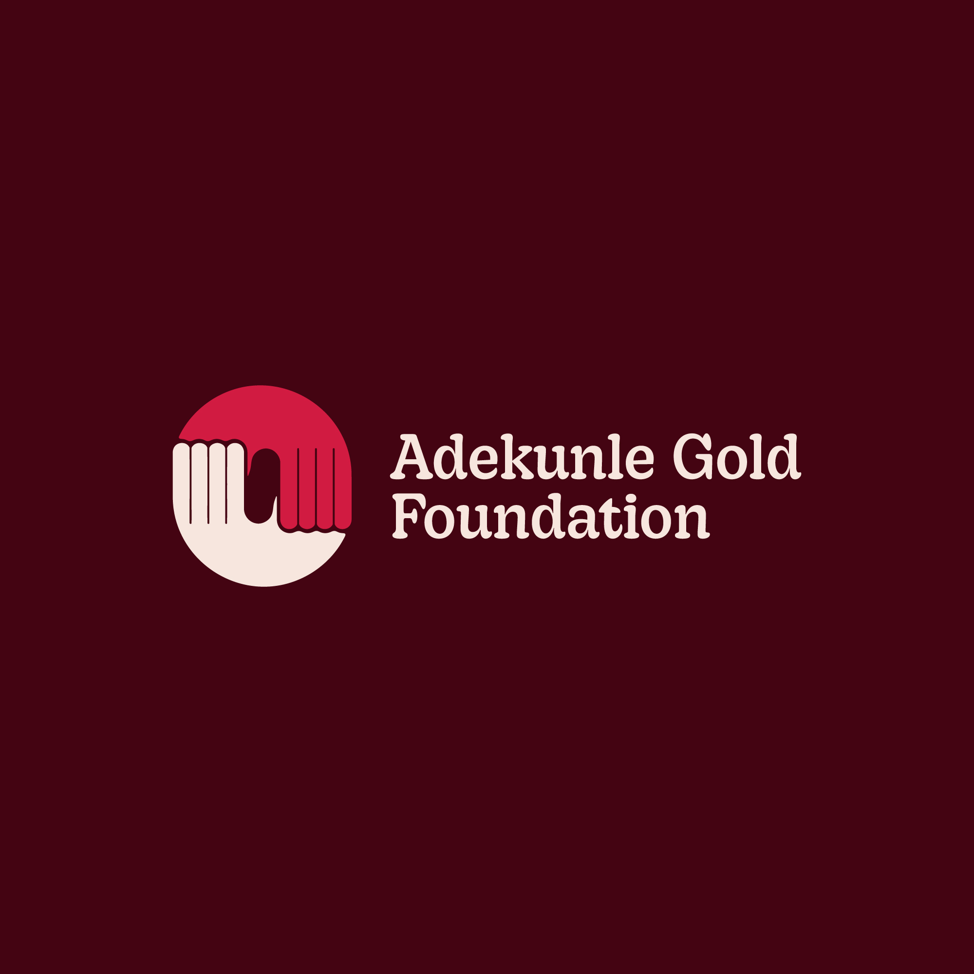 Adekunle Gold Foundation