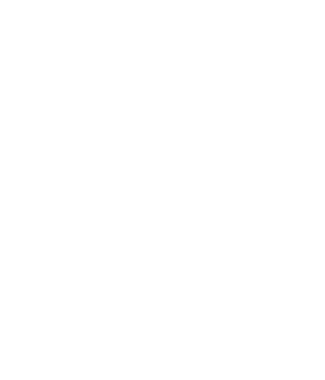 Catalyst Network International